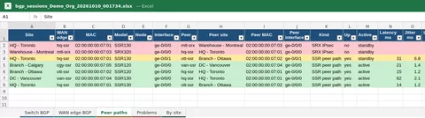 Excel sheet of WAN peer paths with ports, path type, up state, latency, jitter, loss and MOS